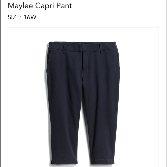 Market & Spruce Navy Capri Pants- Stitch Fix 16 W - Picture 1 of 7
